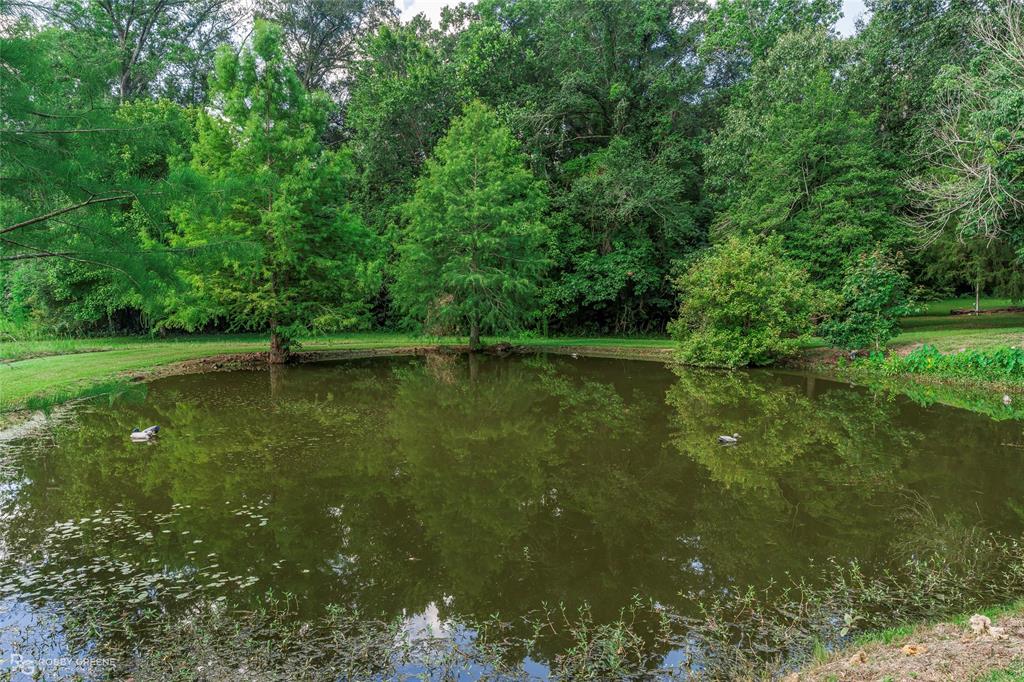 455 Smithville Road Property Photo 39