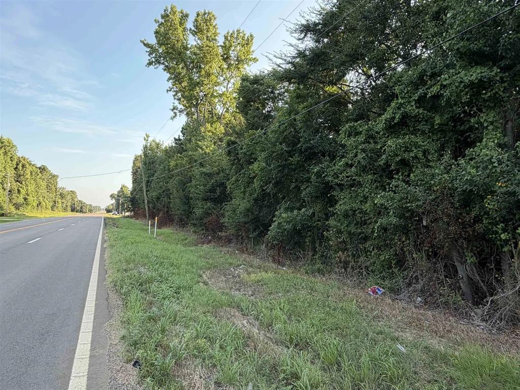 Tbd S Kings Highway Property Photo 3