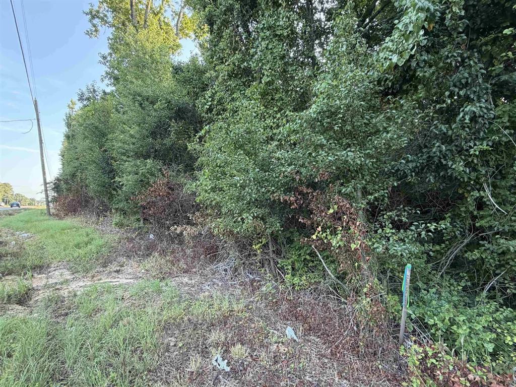Tbd S Kings Highway Property Photo 4