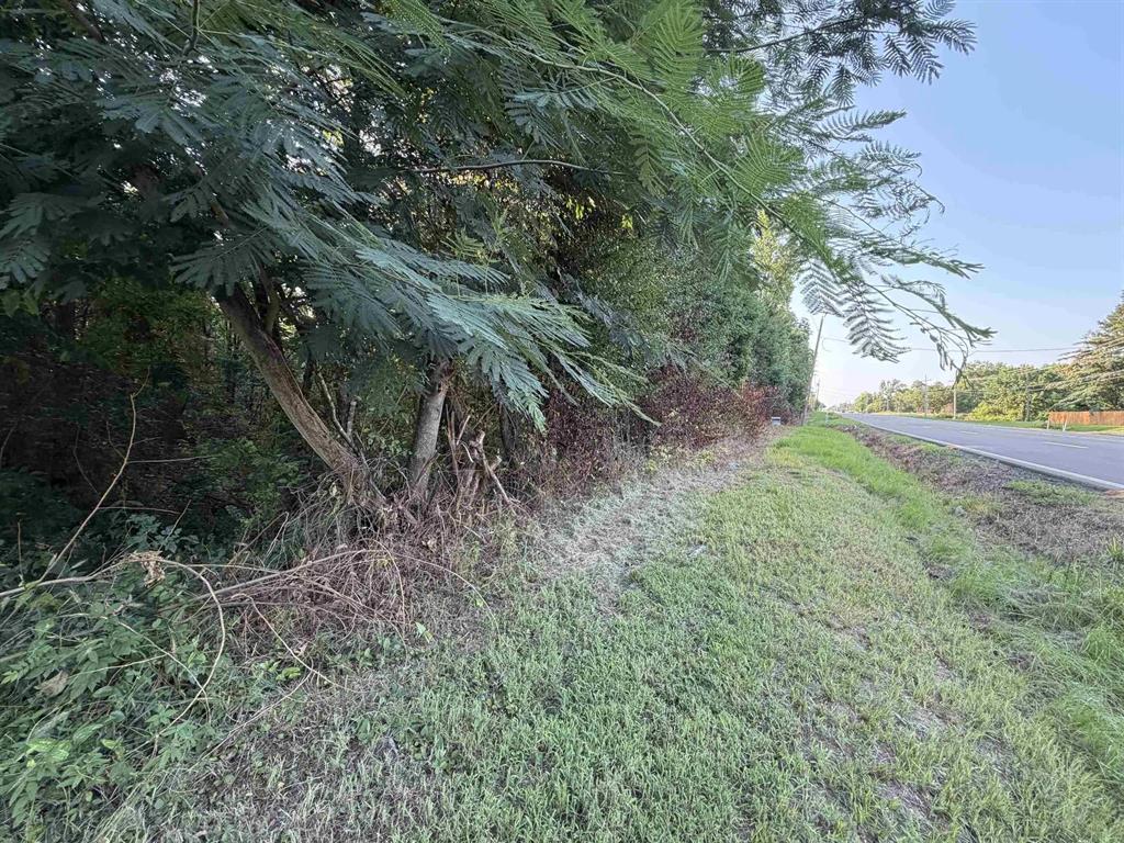 Tbd S Kings Highway Property Photo 7