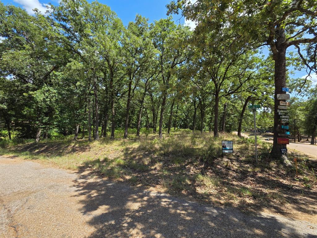 0 Hickory Street Lot 88 Property Photo 1
