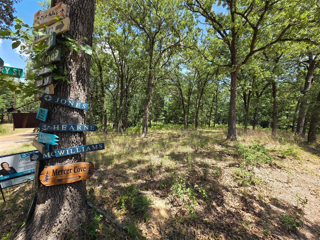 0 Hickory Street Lot 88 Property Photo 2