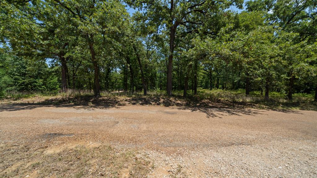 0 Hickory Street Lot 88 Property Photo 4