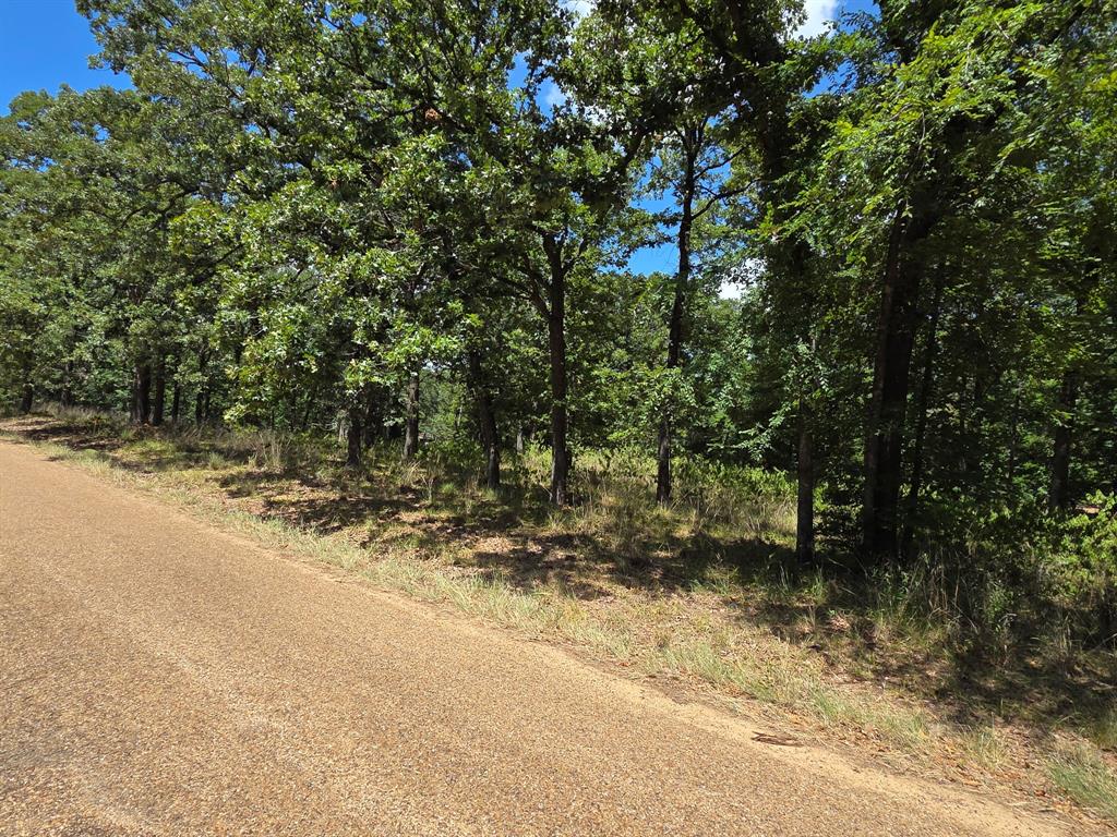 00 Hickory Street Lot 89 Property Photo 1