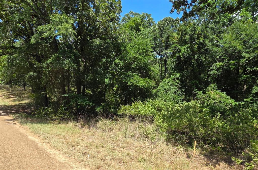 0 Hickory Street Lot 90 Property Photo 1