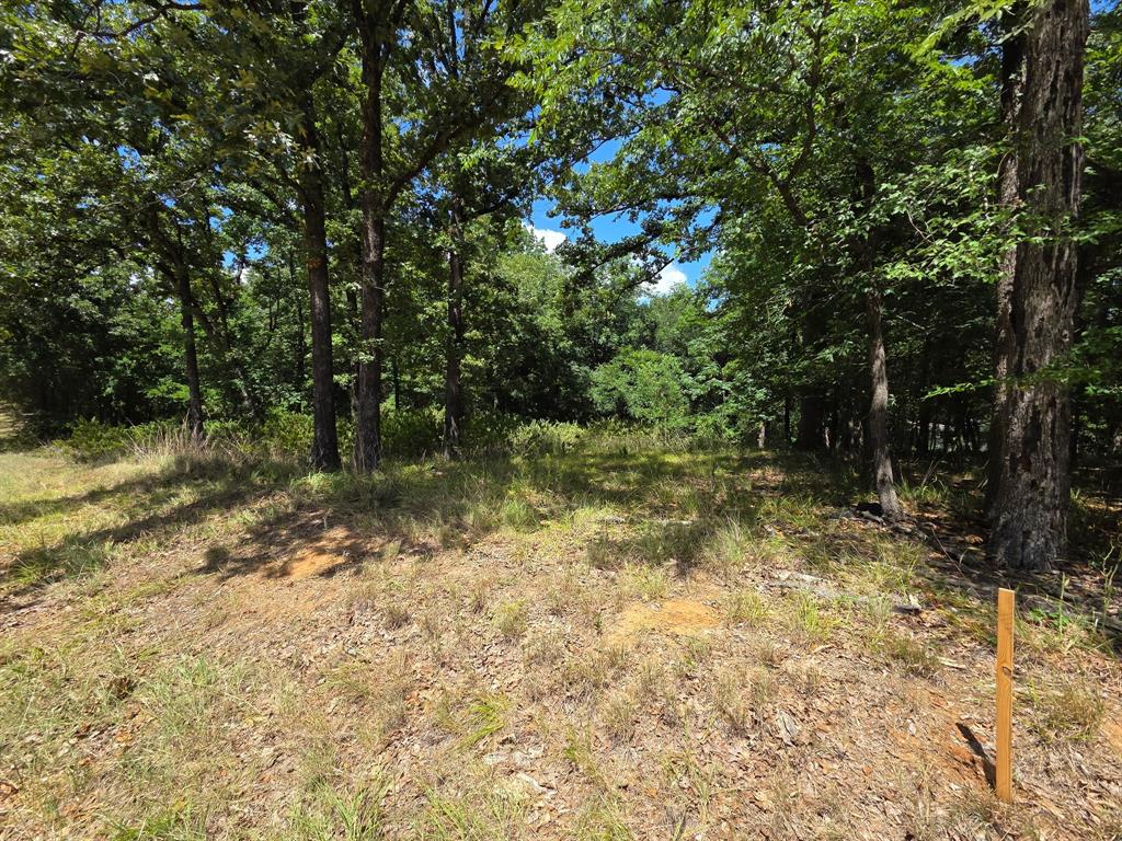 0 Hickory Street Lot 91 Property Photo 1