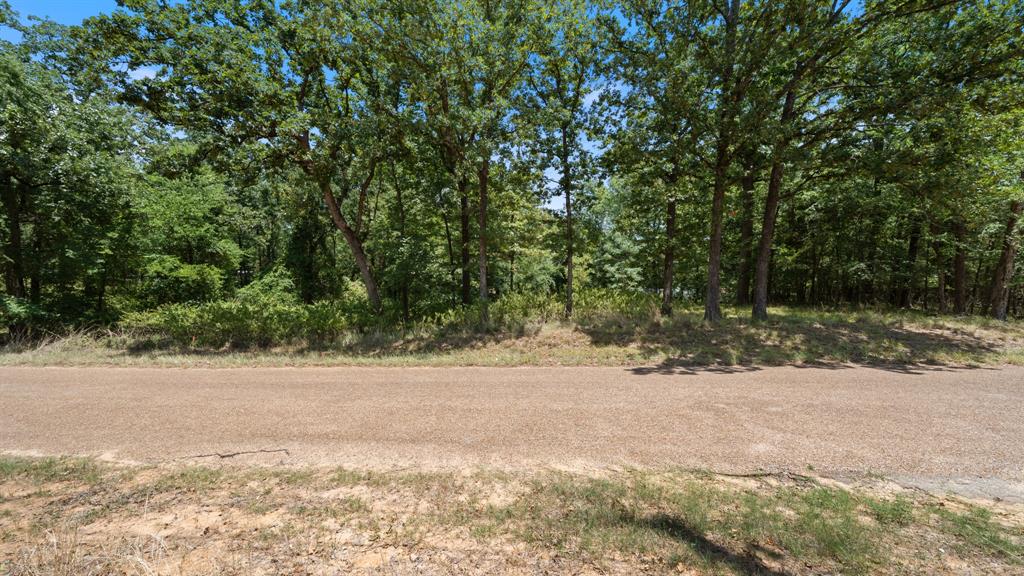 0 Hickory Street Lot 91 Property Photo 3
