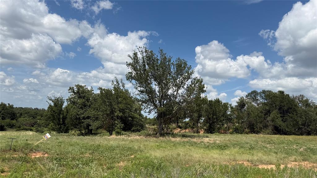 1173 Gonzollas Road Property Photo 2