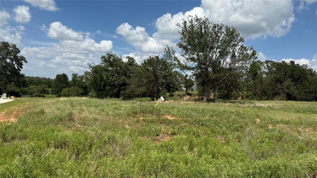 1173 Gonzollas Road Property Photo 4