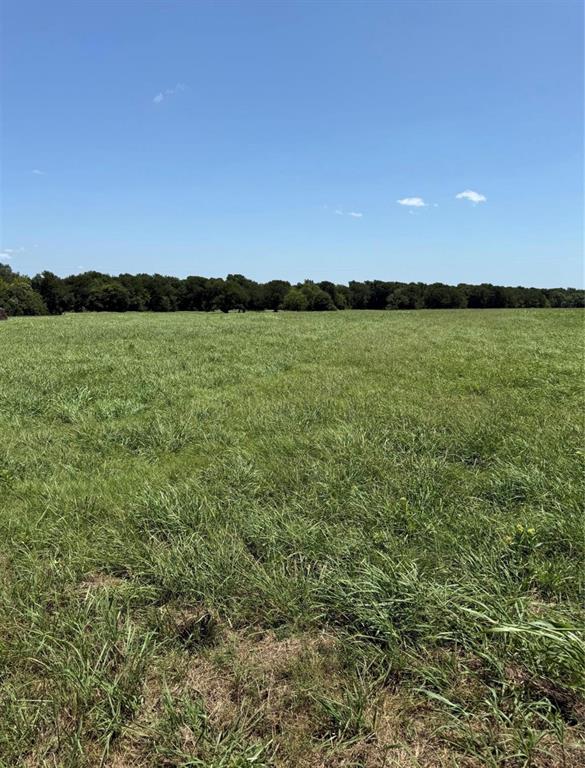 19774 FM 47 Property Photo 1
