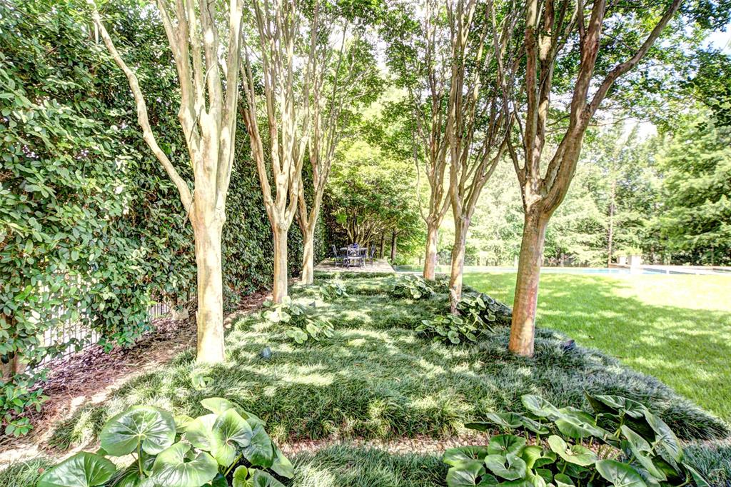 286 Starlight Drive Property Photo 13