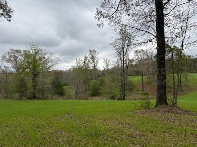 434 Walnut Creek Road Property Photo 5