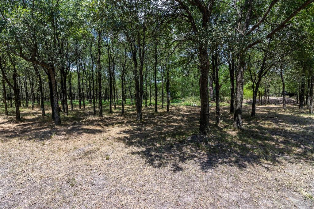 0 Co Rd 4076 Property Photo 5
