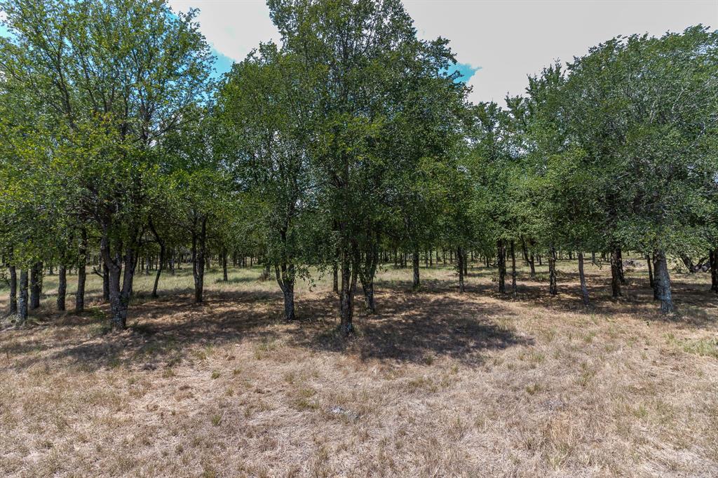 0 Co Rd 4076 Property Photo 8
