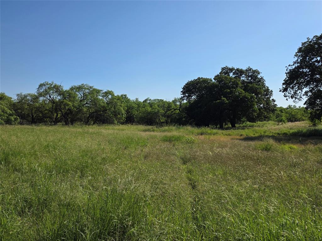 2251 Fm 585 Property Photo 8