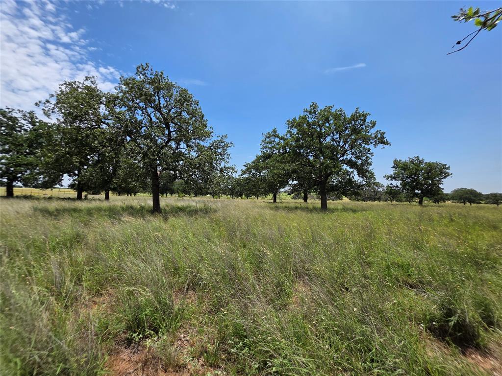 2251 Fm 585 Property Photo 19