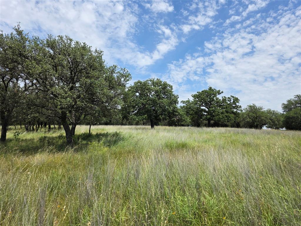 2251 Fm 585 Property Photo 21