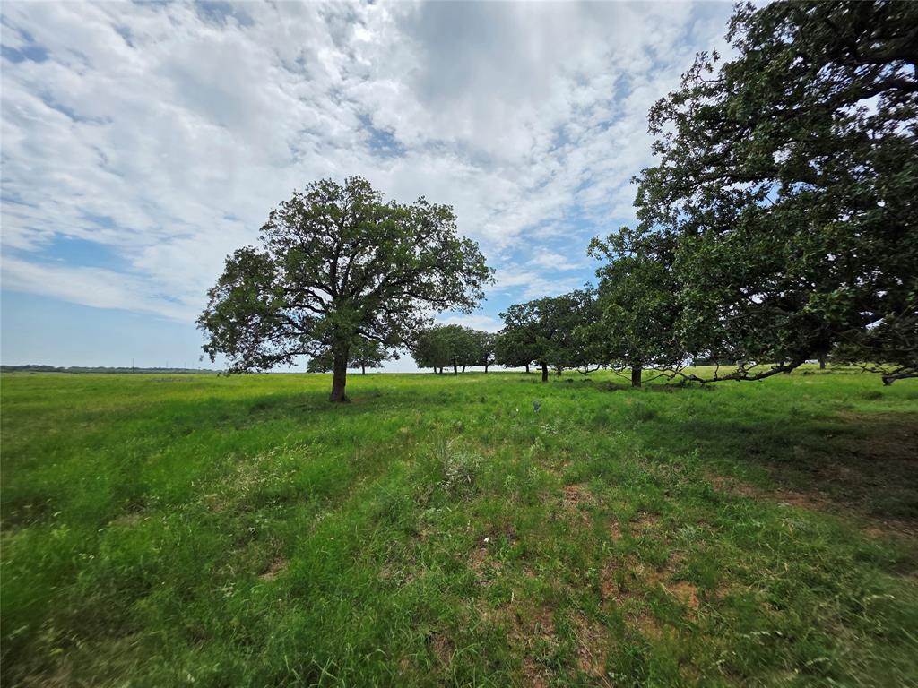 2251 Fm 585 Property Photo 35