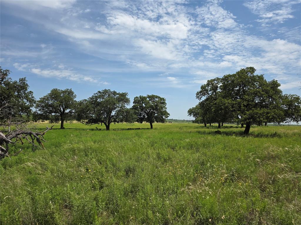 2251 Fm 585 Property Photo 39