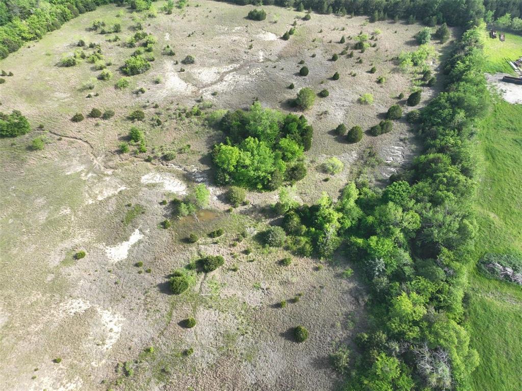 16.6 Acres Prichard Road Property Photo 6