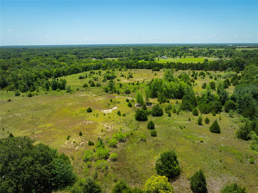 16.6 Acres Prichard Road Property Photo 11