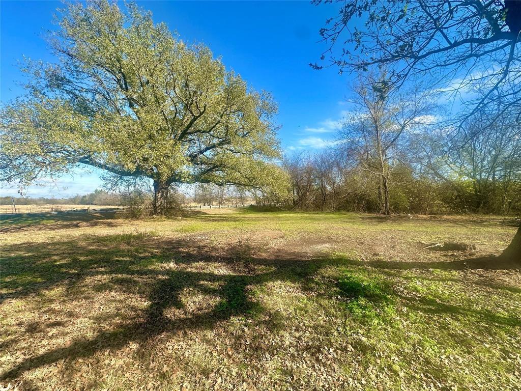 Tbd County Road 4824 Property Photo 4