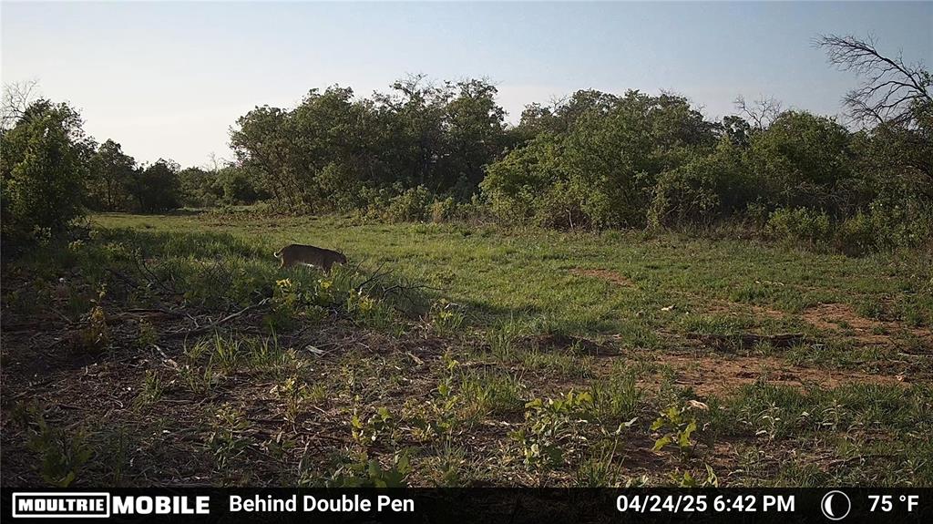 3599 County Road 413 Property Photo 17