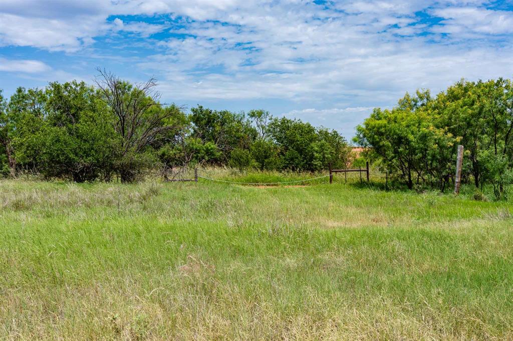 3599 County Road 413 Property Photo 18