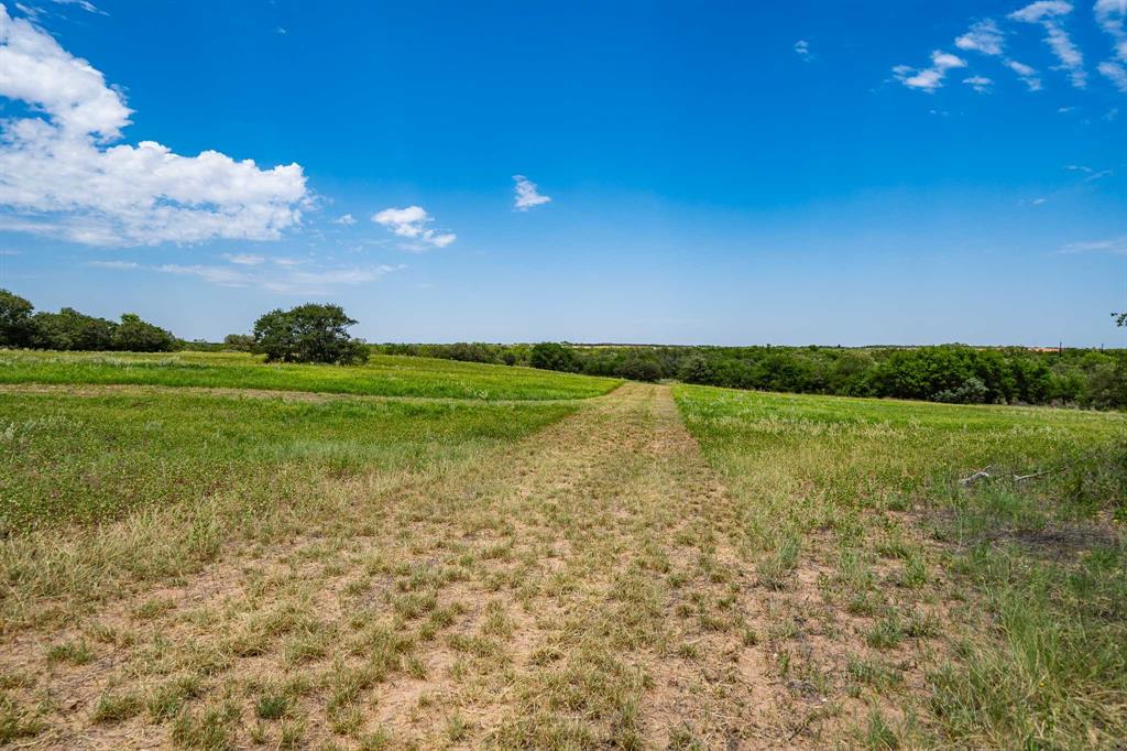 3599 County Road 413 Property Photo 31