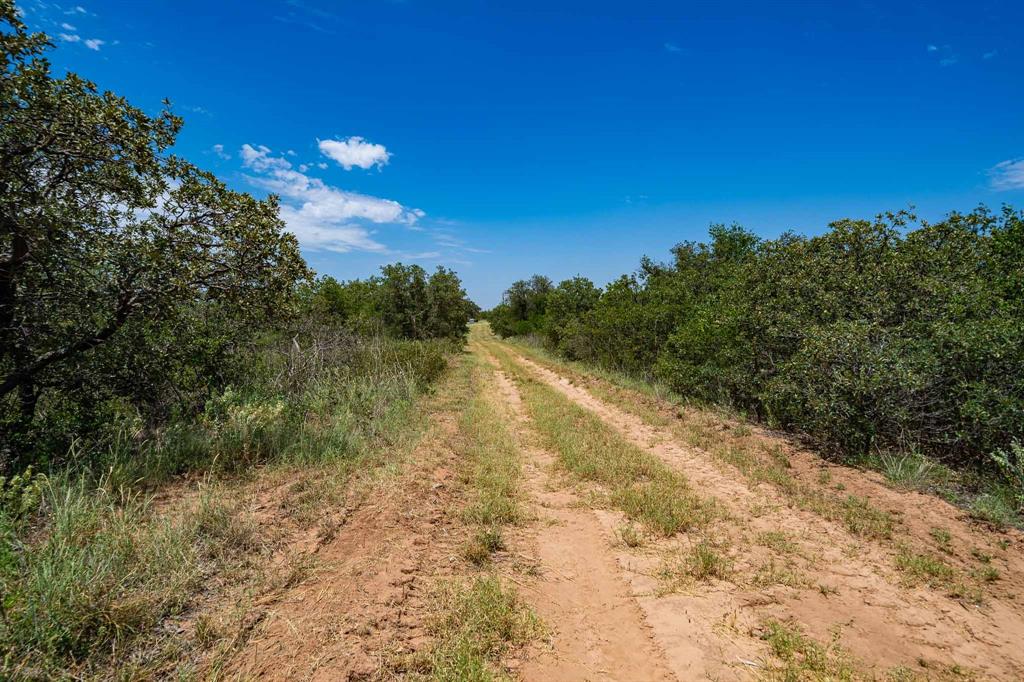 3599 County Road 413 Property Photo 32