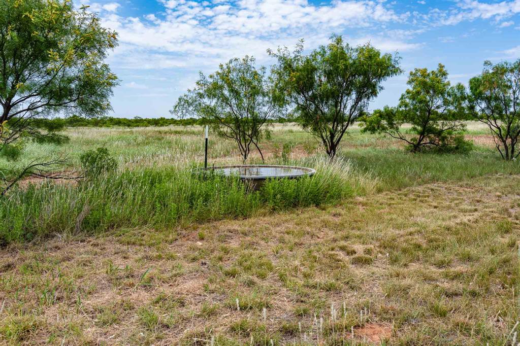 3599 County Road 413 Property Photo 34