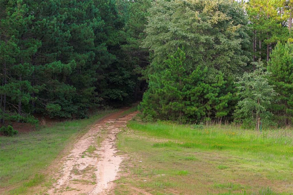 00 County Road 2136 Property Photo 15