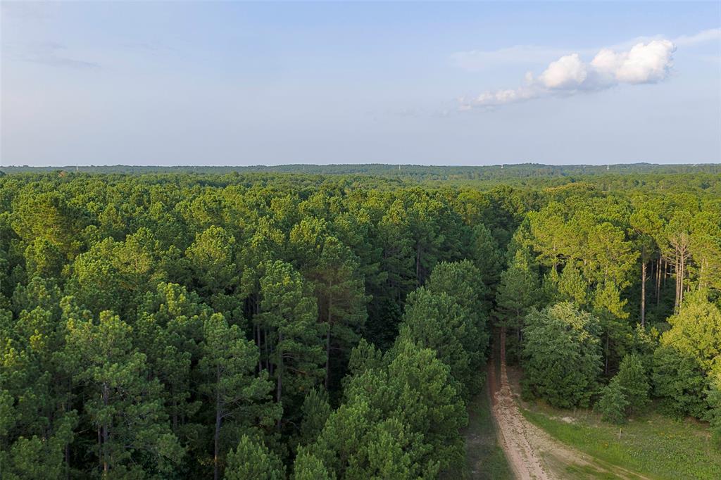 00 County Road 2136 Property Photo 16