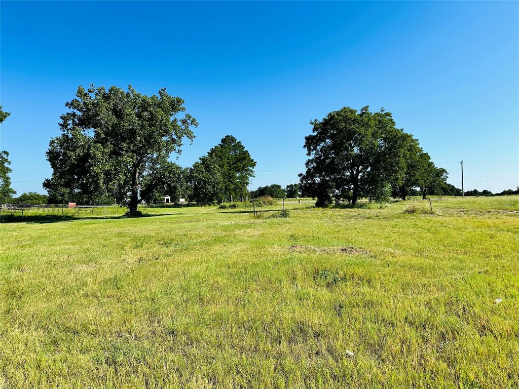 12817 State Highway 36 Property Photo 1