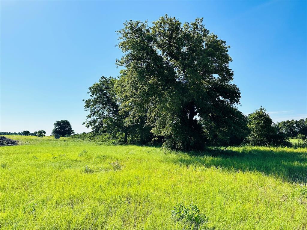 12817 State Highway 36 Property Photo 16