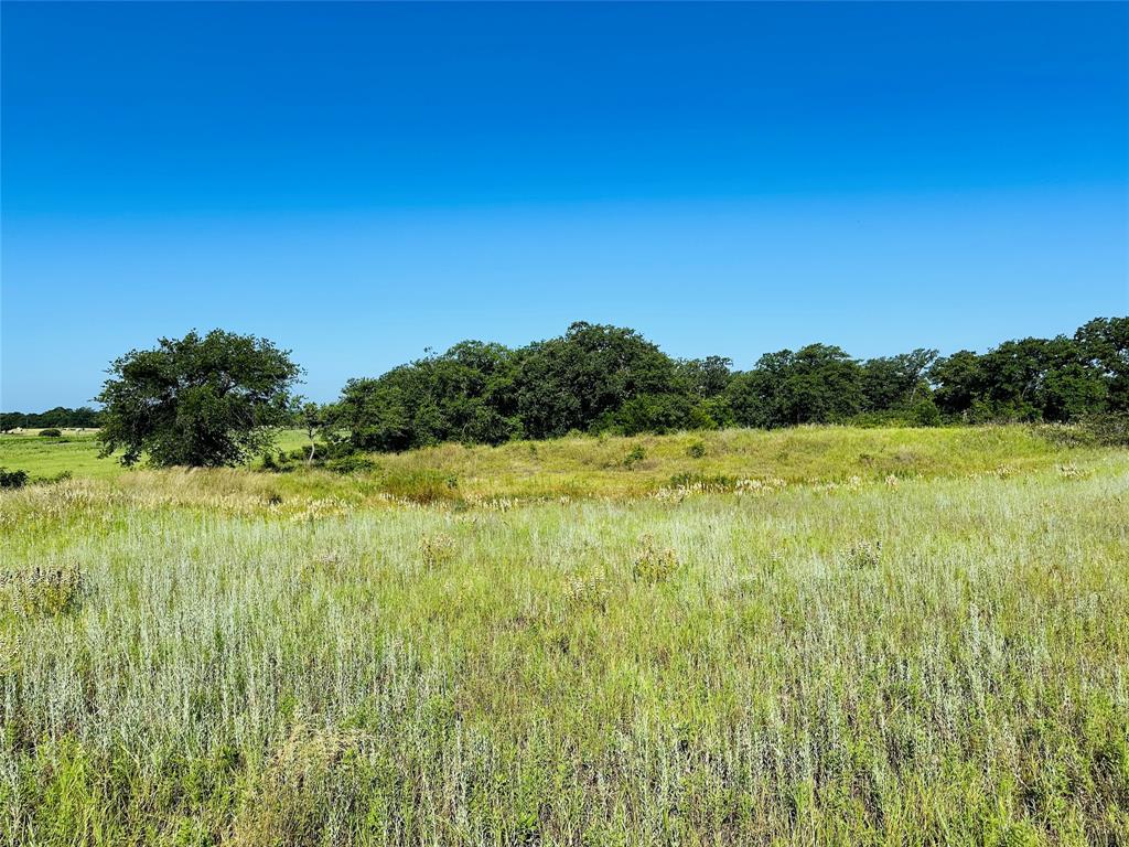 12817 State Highway 36 Property Photo 17