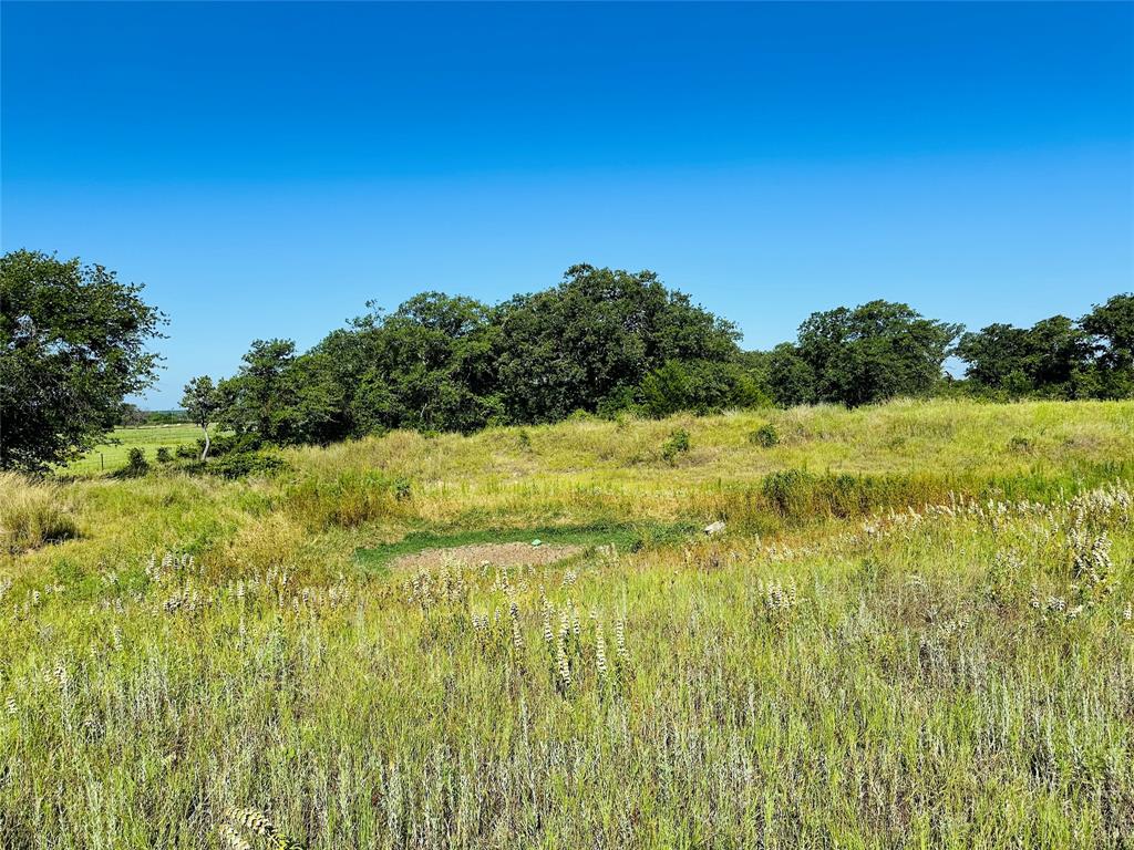 12817 State Highway 36 Property Photo 18