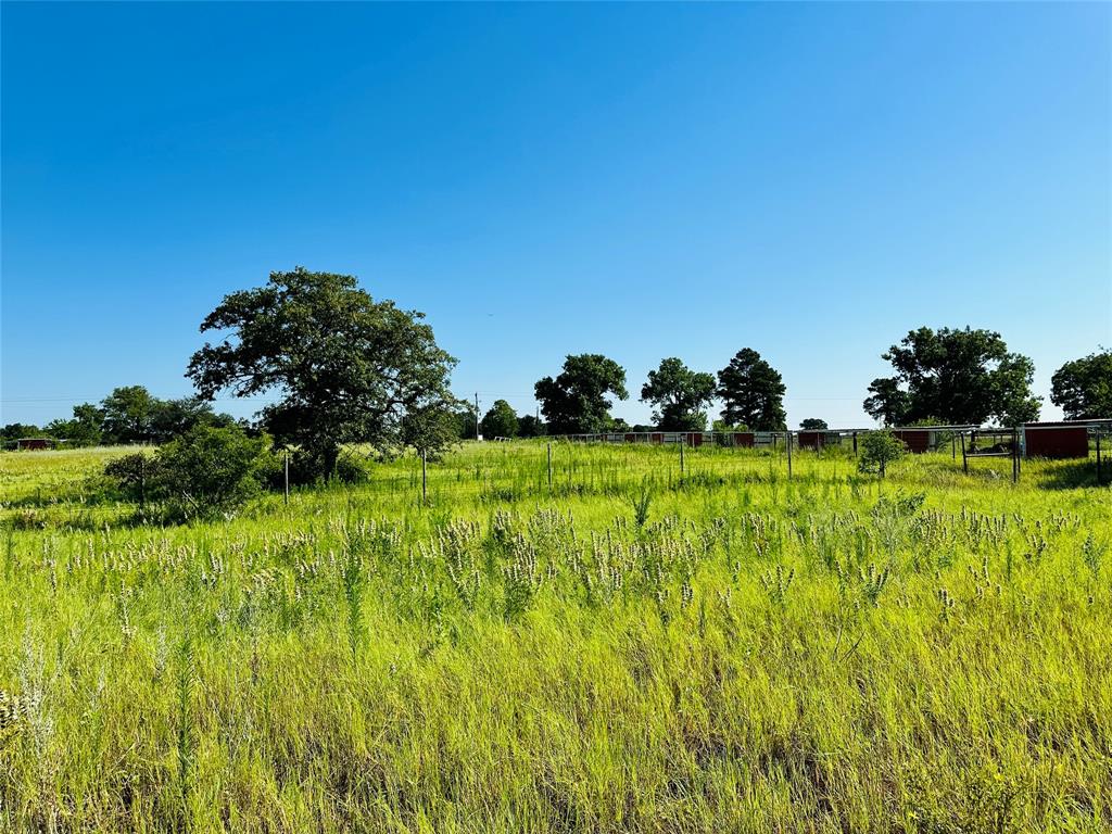 12817 State Highway 36 Property Photo 21