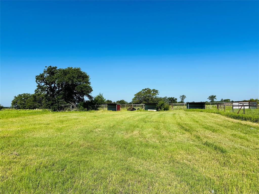 12817 State Highway 36 Property Photo 23