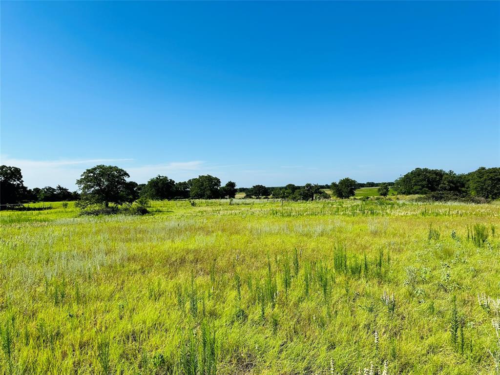 12817 State Highway 36 Property Photo 32