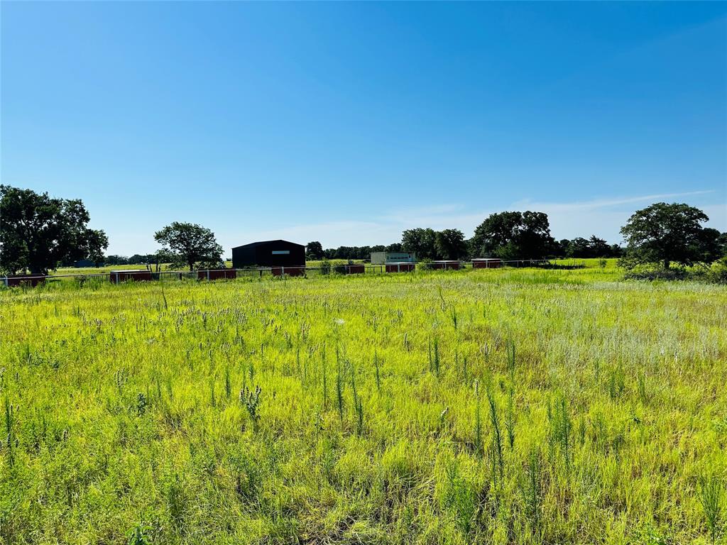 12817 State Highway 36 Property Photo 33