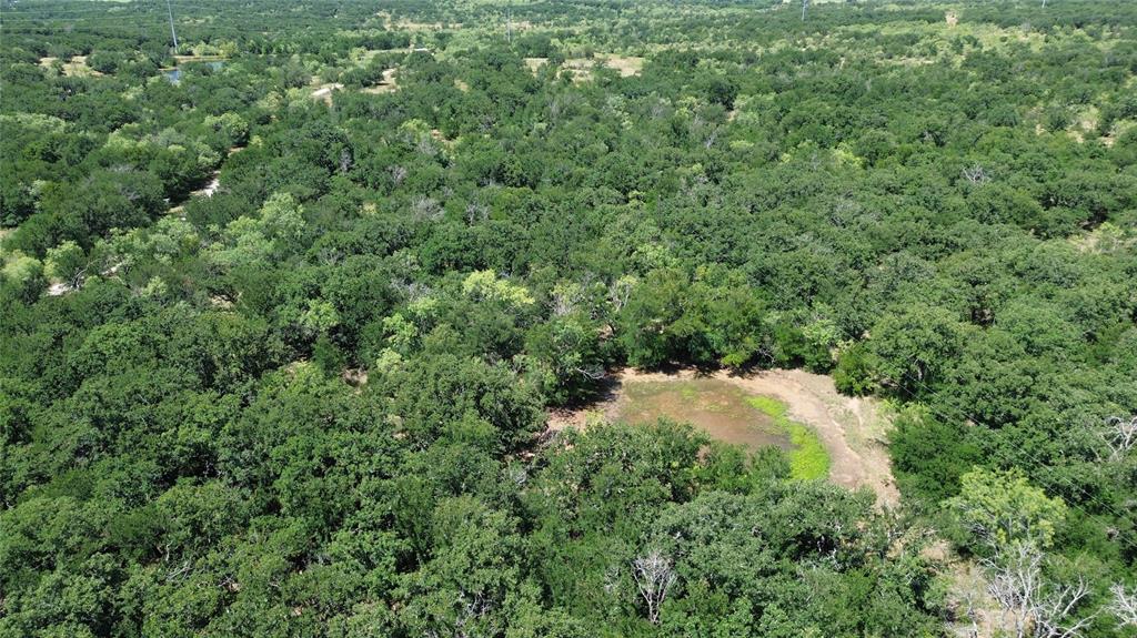 Tbd Cr 433 Property Photo 10