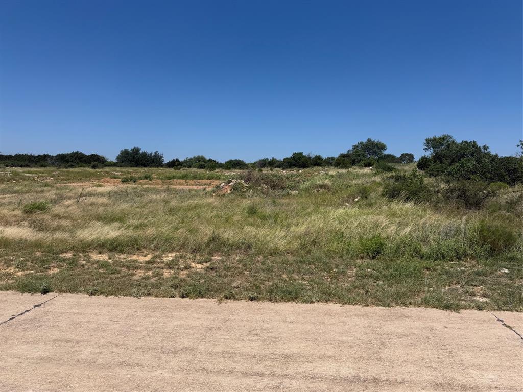 217r Oak Tree Dr Property Photo 1