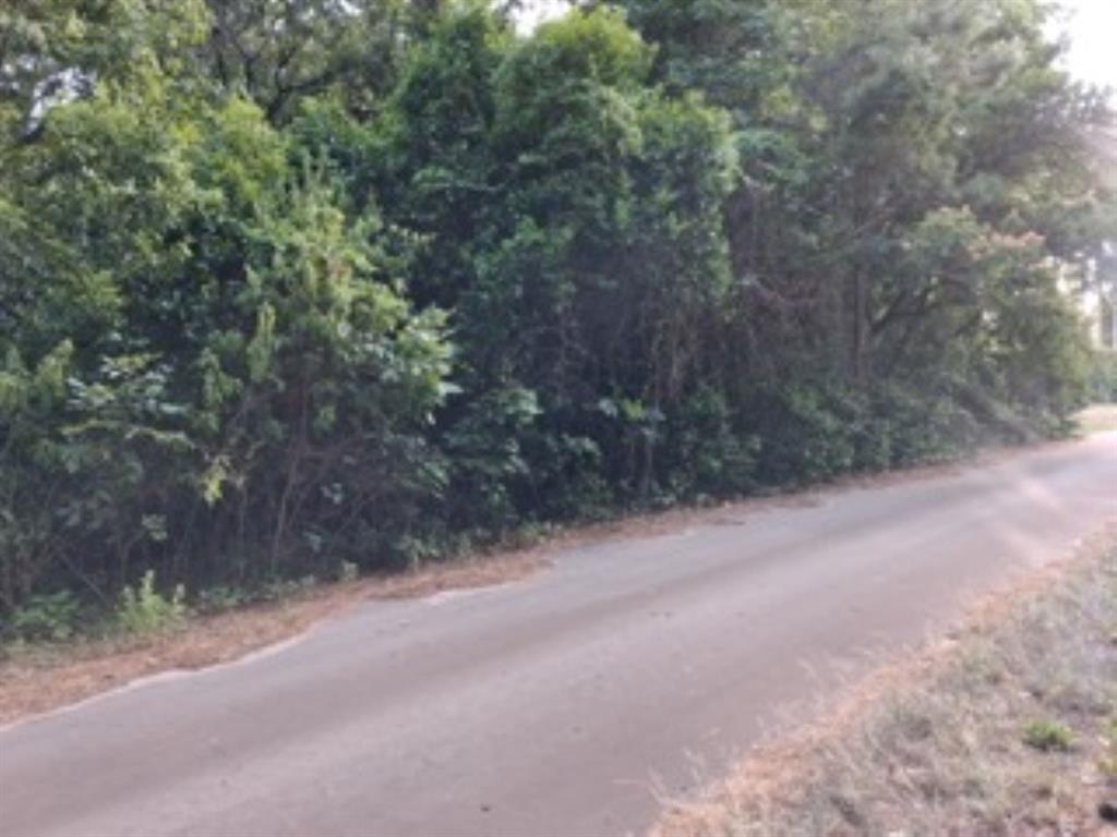 Tbd Chapparal Run Property Photo 1