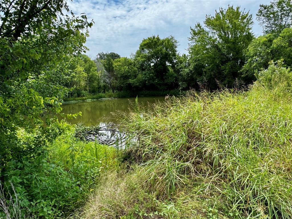 1438 Hurst Road Property Photo 3