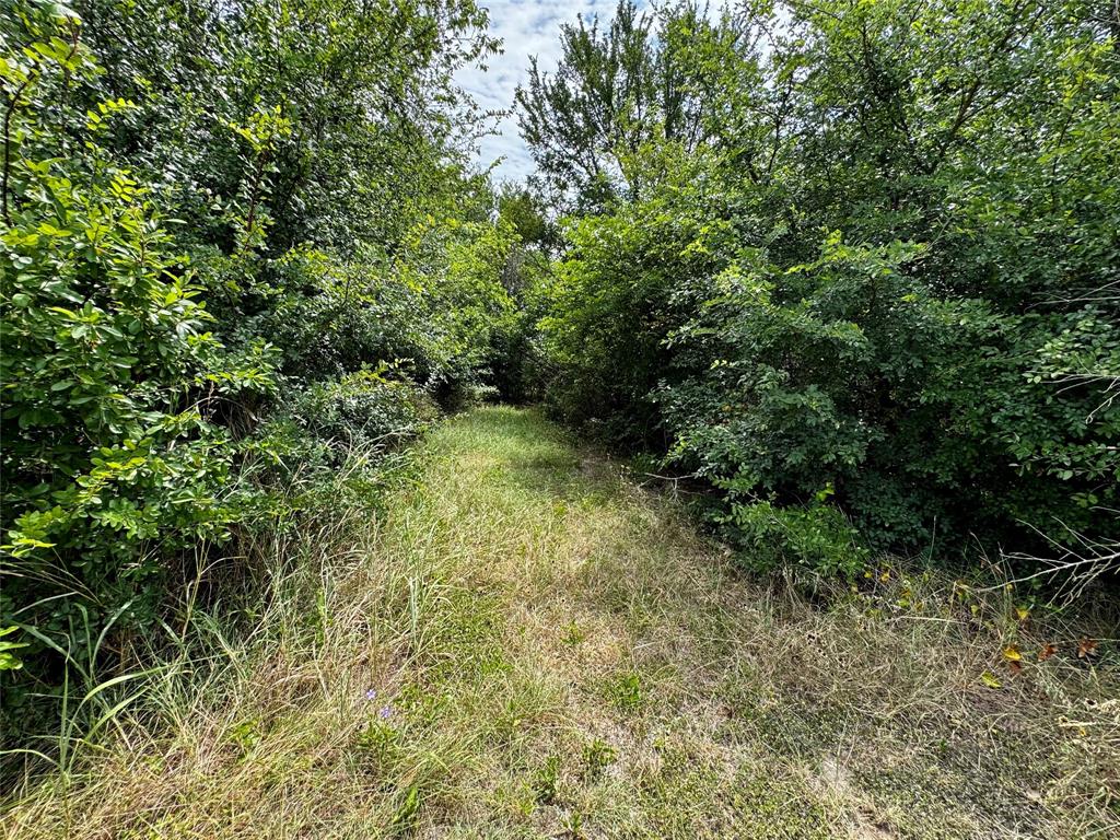 1438 Hurst Road Property Photo 7