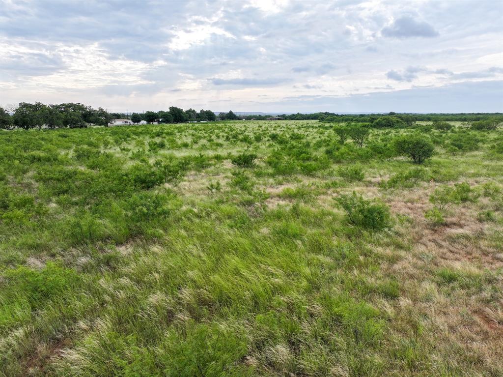 115 Badger Den Property Photo 5
