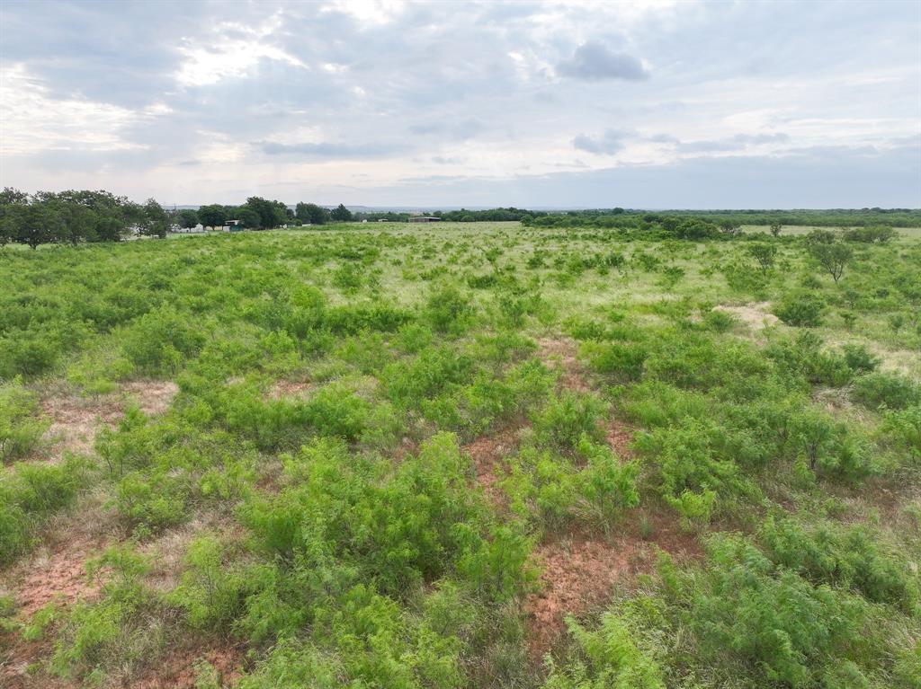 115 Badger Den Property Photo 6
