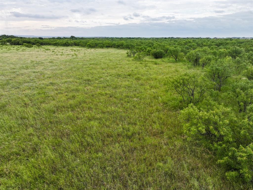 115 Badger Den Property Photo 8