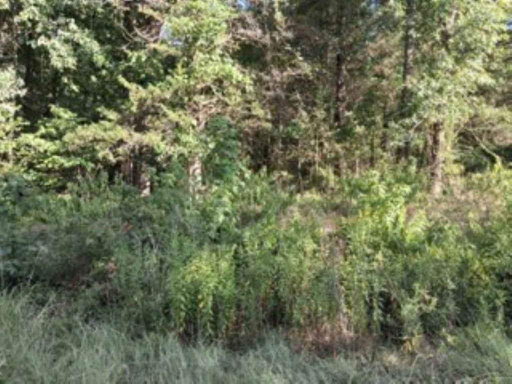 000 Dogwood Drive Property Photo 3